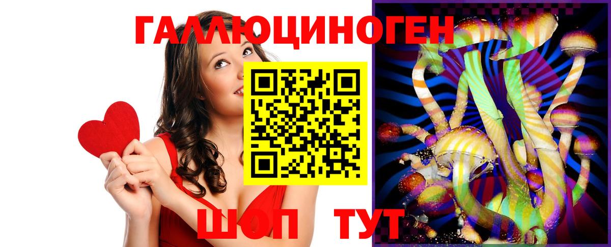 Псилоцибиновые грибы прущие грибы  Вход с VPN  Михайловск  Галлюциногенные грибы Psilocybine cubensis 