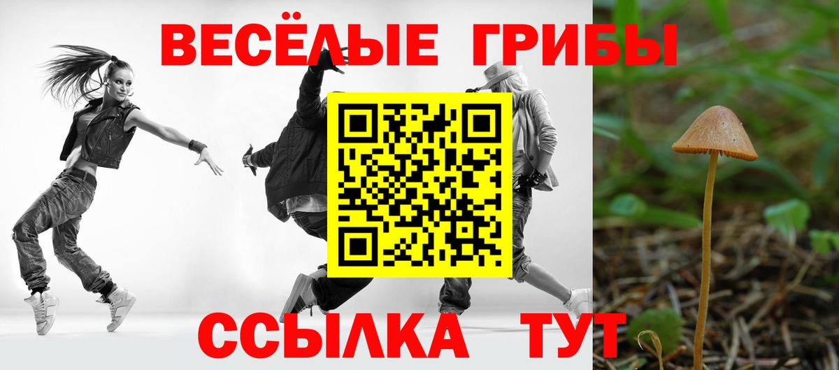 Псилоцибиновые грибы прущие грибы Михайловск